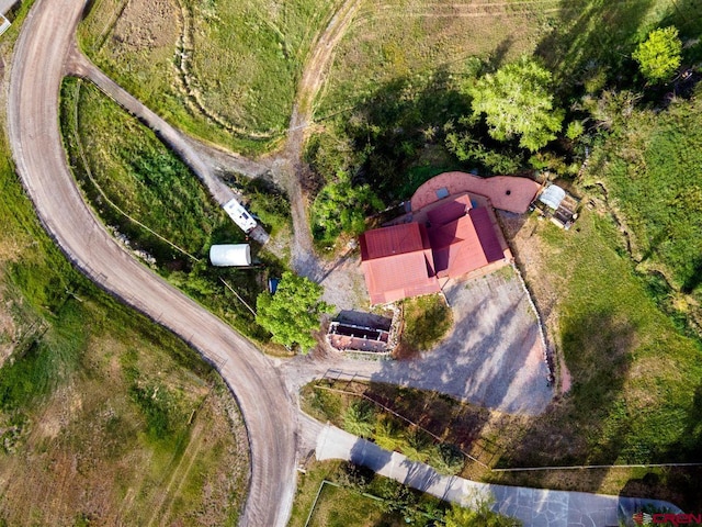 280 Marys Rd, Ridgway, CO 81432 - aerial view of property and surrounding area