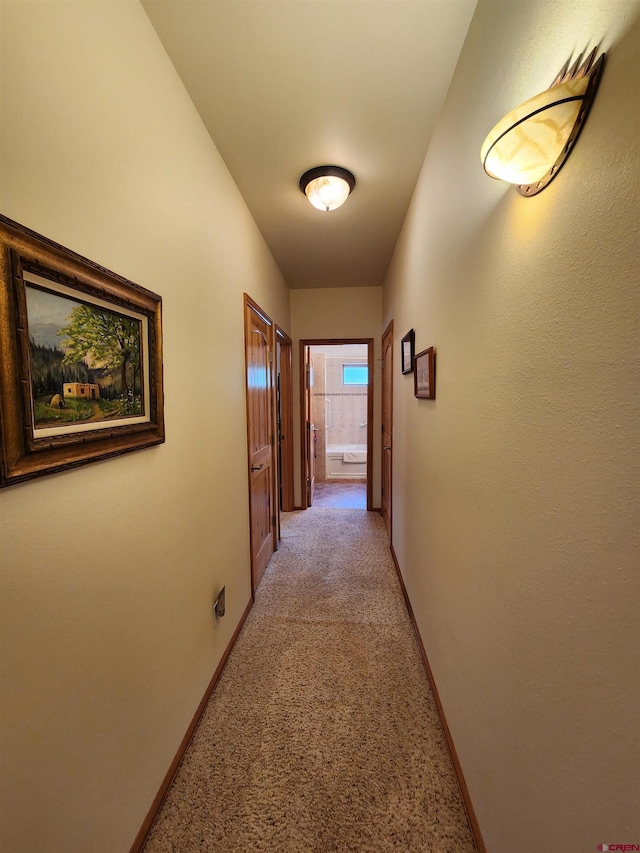 421 Elk Meadow Run, Antonito, CO 81120 - hallway with light colored carpet and baseboards