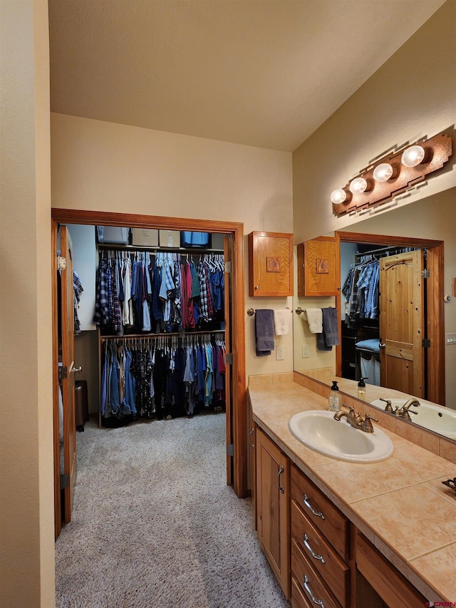 421 Elk Meadow Run, Antonito, CO 81120 - bathroom with vanity and a walk in closet