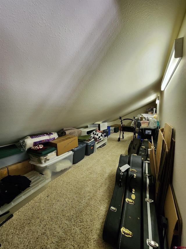 421 Elk Meadow Run, Antonito, CO 81120 - bonus room with a textured ceiling and carpet