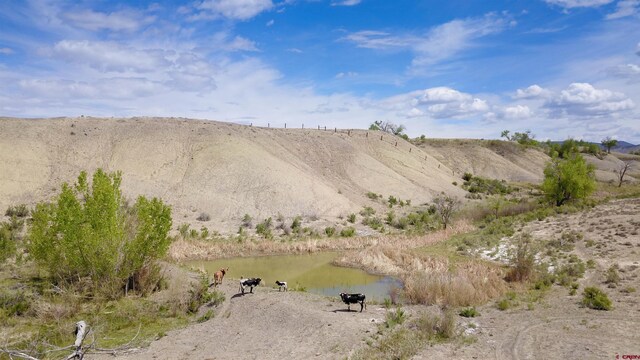 6900 Rd Rd, Tbd, Montrose, CO 81401