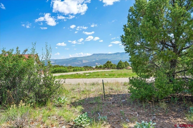 802 Pine Dr, Ridgway, CO 81432