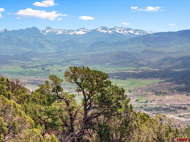 802 Pine Dr, Ridgway, CO 81432