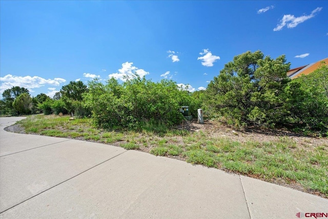 802 Pine Dr, Ridgway, CO 81432