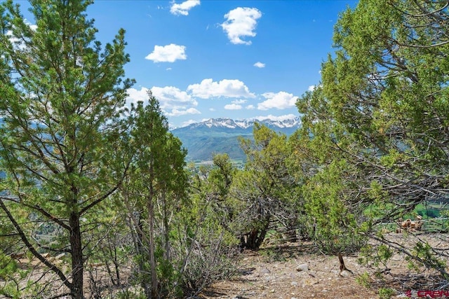 802 Pine Dr, Ridgway, CO 81432