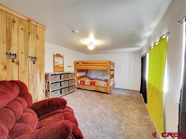14702 Rd 14, Cahone, CO 81320 - view of carpeted bedroom