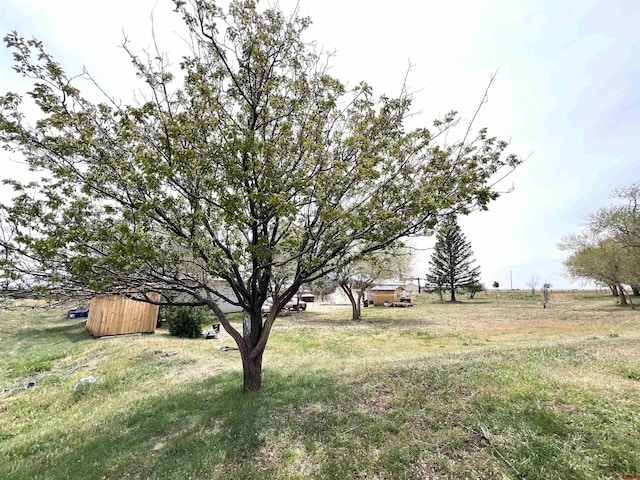 14702 Rd 14, Cahone, CO 81320 - view of yard