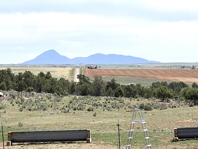 14702 Rd 14, Cahone, CO 81320 - view of mountain backdrop featuring rural landscape