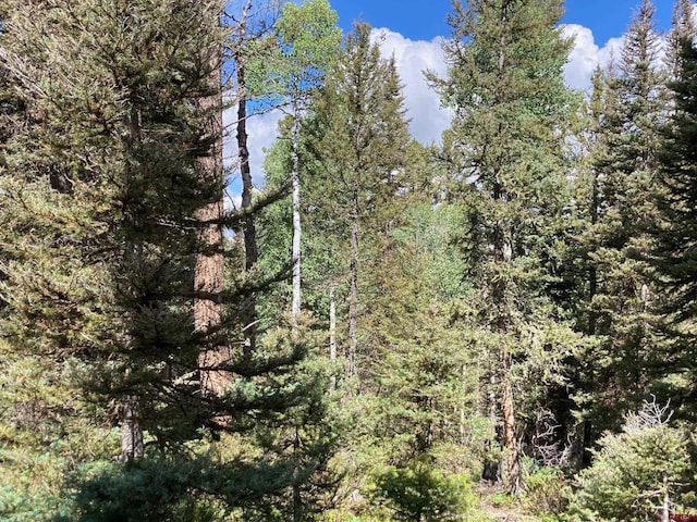 147 Ridge Rd, Cimarron, CO 81220