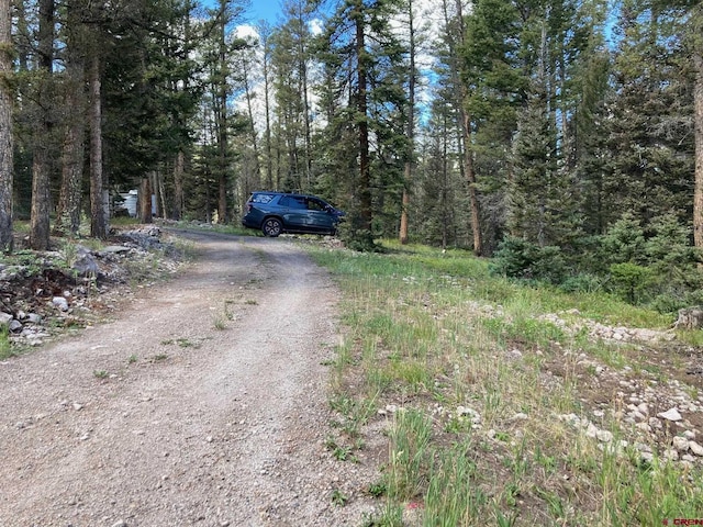 147 Ridge Rd, Cimarron, CO 81220