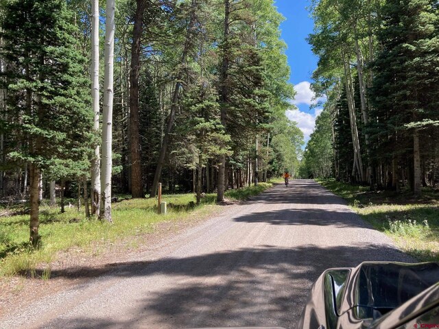147 Ridge Rd, Cimarron, CO 81220