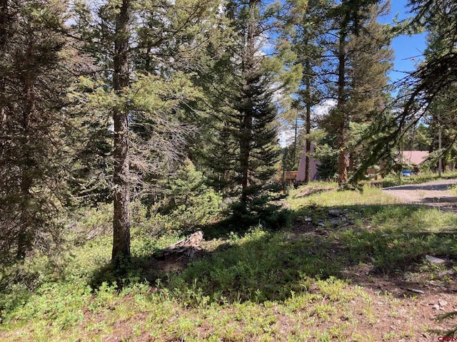 147 Ridge Rd, Cimarron, CO 81220