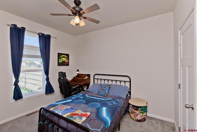 729 Spotted Pony Ct, Delta, CO 81416 - bedroom with carpet floors, baseboards, and multiple windows