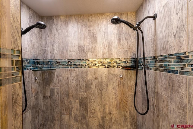 345 Meadows Cir, Bayfield, CO 81122 - bathroom view of tiled shower