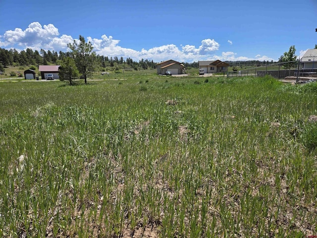 20 Lancer Ct, Pagosa Springs, CO 81147