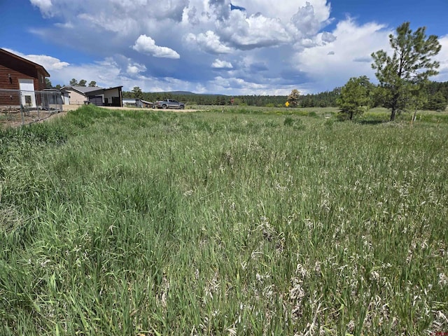 20 Lancer Ct, Pagosa Springs, CO 81147