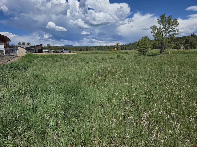 20 Lancer Ct, Pagosa Springs, CO 81147