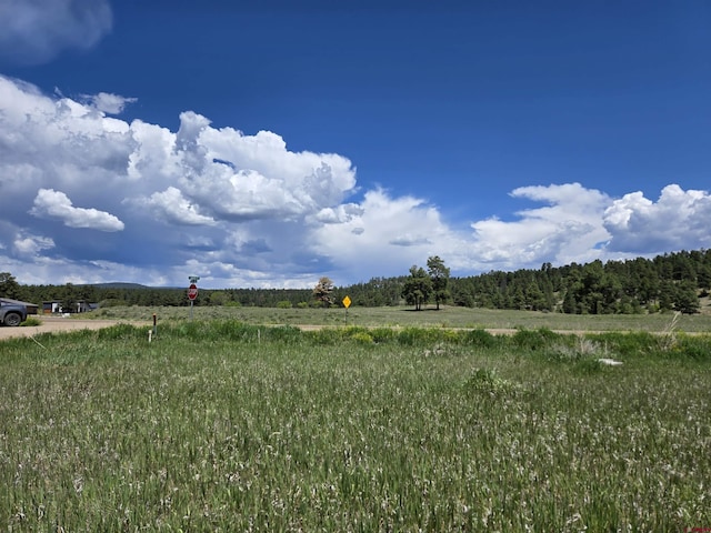 20 Lancer Ct, Pagosa Springs, CO 81147