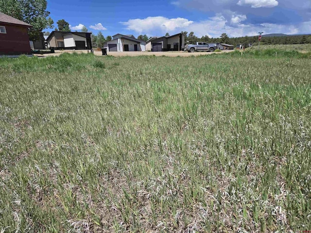 20 Lancer Ct, Pagosa Springs, CO 81147