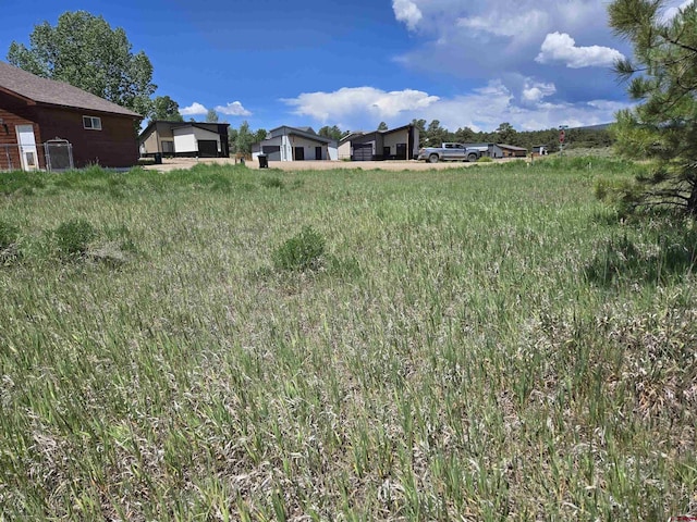 20 Lancer Ct, Pagosa Springs, CO 81147