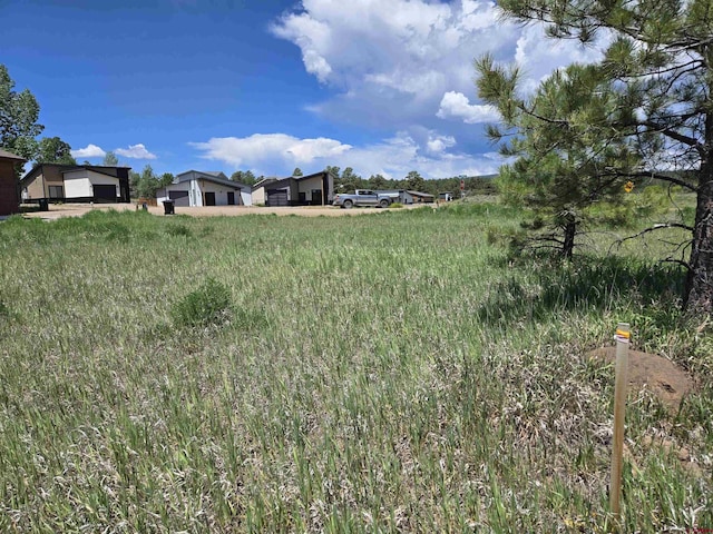 20 Lancer Ct, Pagosa Springs, CO 81147