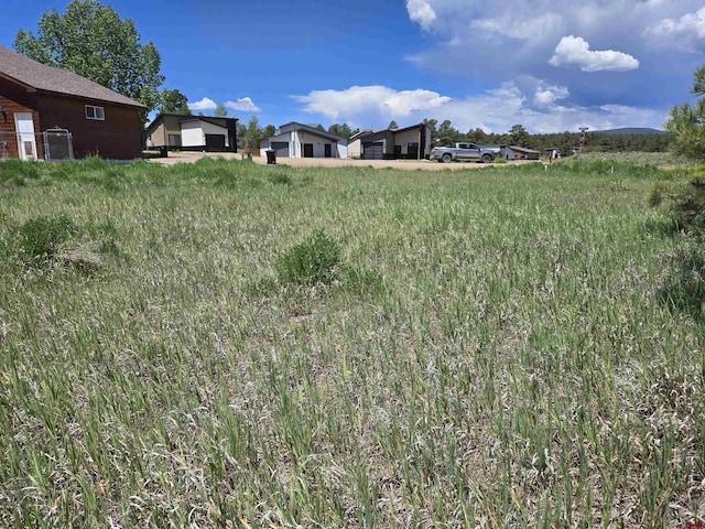 20 Lancer Ct, Pagosa Springs, CO 81147