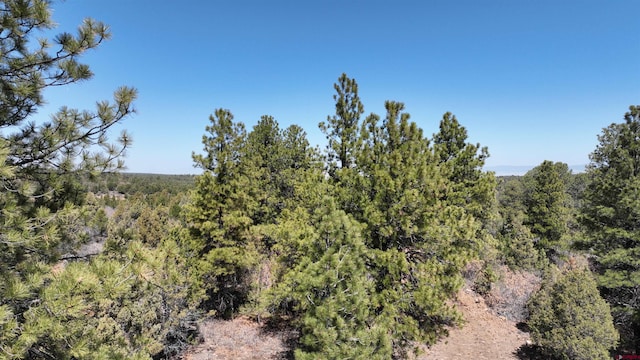 35ACRES Wild Poppy Rd, Montrose, CO 81403
