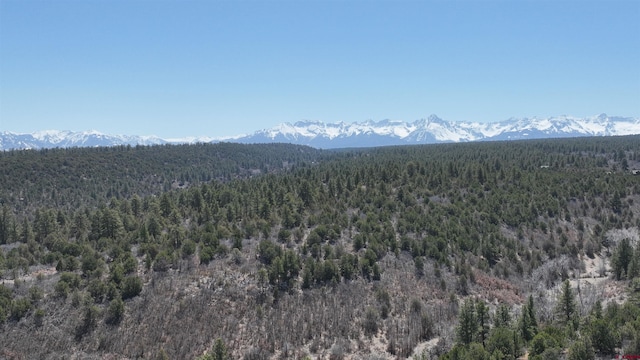 35ACRES Wild Poppy Rd, Montrose, CO 81403