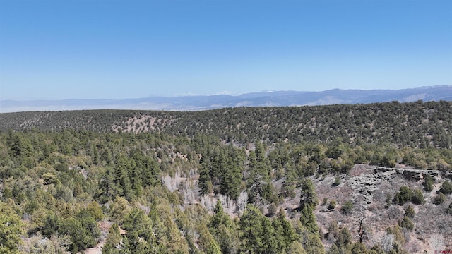 35ACRES Wild Poppy Rd, Montrose, CO 81403