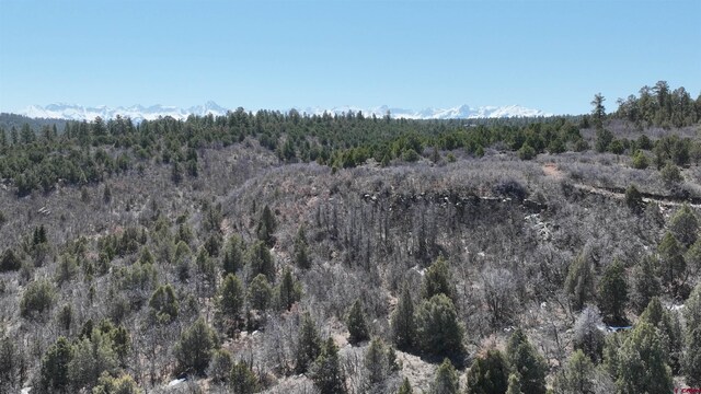 35ACRES Wild Poppy Rd, Montrose, CO 81403