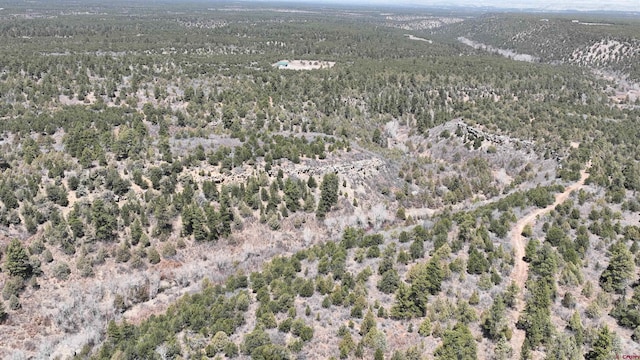 35ACRES Wild Poppy Rd, Montrose, CO 81403