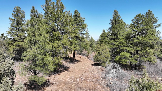 35ACRES Wild Poppy Rd, Montrose, CO 81403