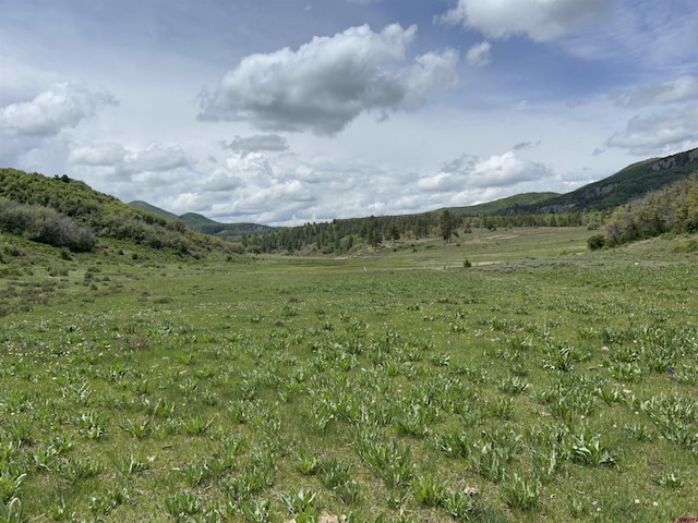 TBD Road 29.8, Cahone, CO 81320