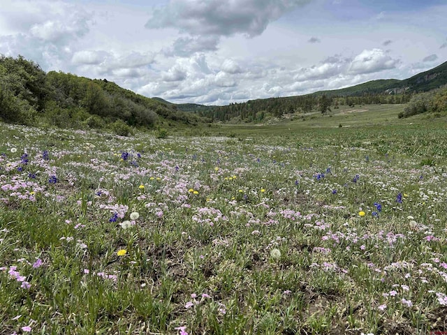 TBD Road 29.8, Cahone, CO 81320
