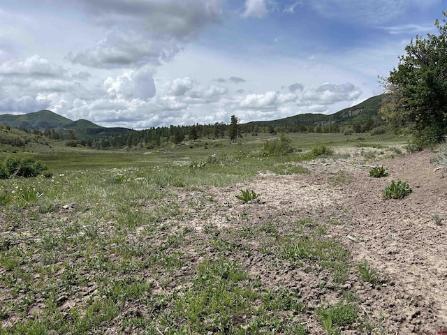 TBD Road 29.8, Cahone, CO 81320