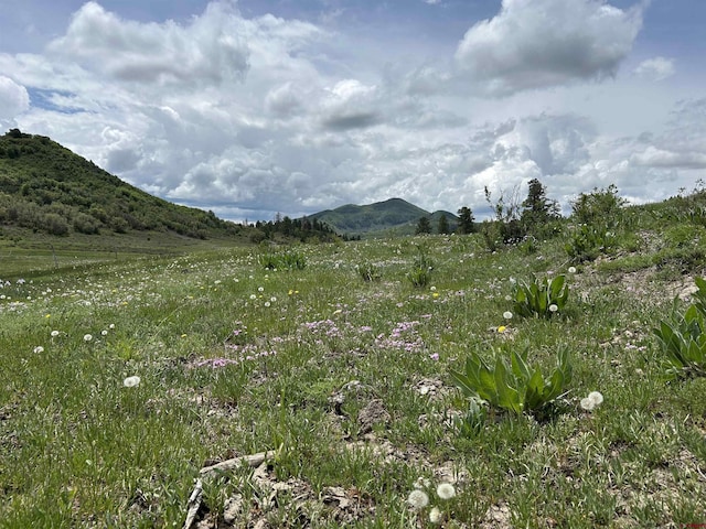 TBD Road 29.8, Cahone, CO 81320