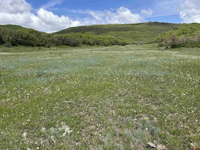 TBD Road 29.8, Cahone, CO 81320