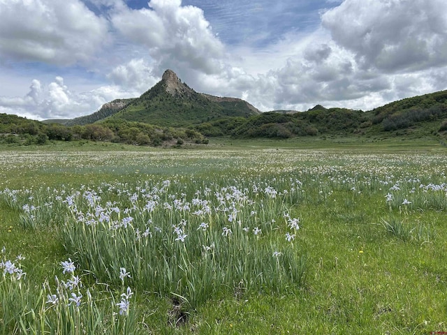 TBD Road 29.8, Cahone, CO 81320