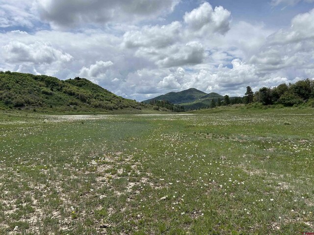 TBD Road 29.8, Cahone, CO 81320