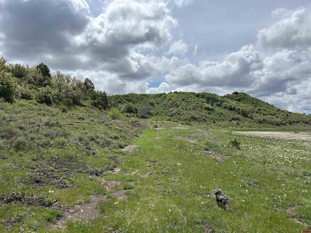 TBD Road 29.8, Cahone, CO 81320