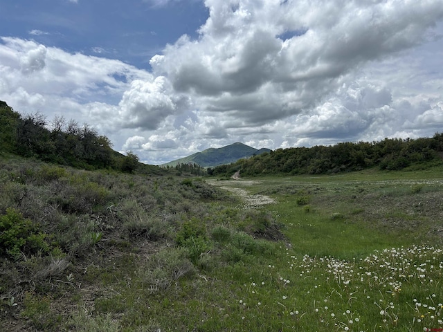 TBD Road 29.8, Cahone, CO 81320