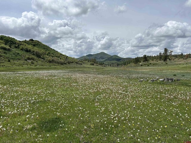 TBD Road 29.8, Cahone, CO 81320