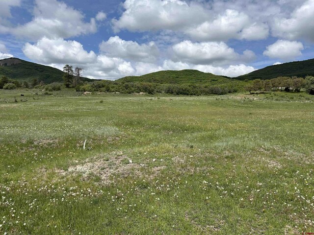TBD Road 29.8, Cahone, CO 81320