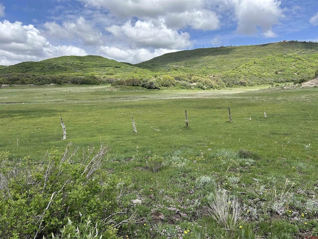 TBD Road 29.8, Cahone, CO 81320