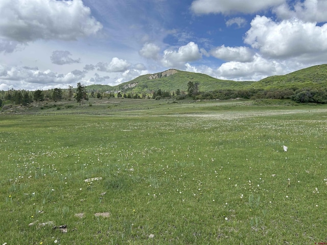 TBD Road 29.8, Cahone, CO 81320