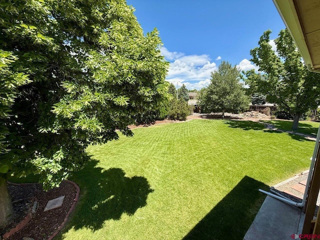 2343 Oldham Way, Montrose, CO 81401 - view of grassy yard