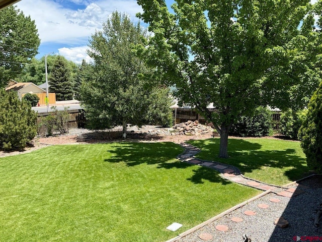 2343 Oldham Way, Montrose, CO 81401 - view of yard