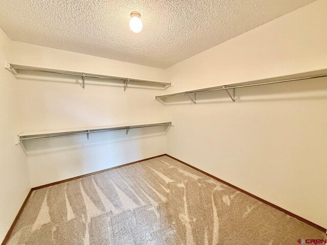 2343 Oldham Way, Montrose, CO 81401 - walk in closet featuring carpet floors