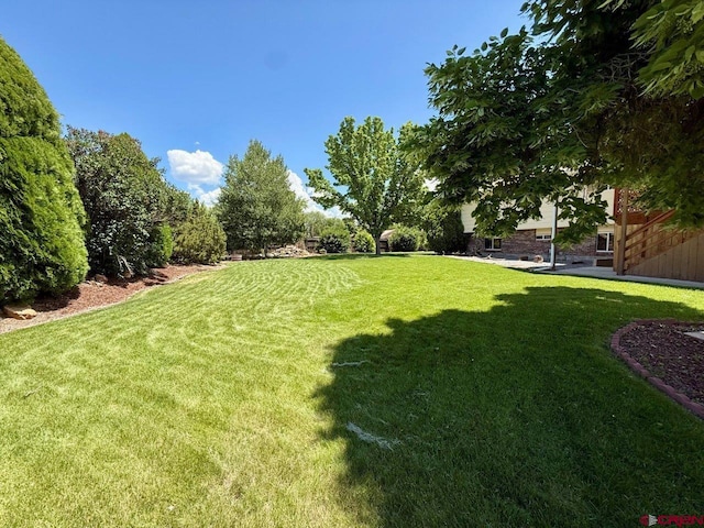 2343 Oldham Way, Montrose, CO 81401 - view of grassy yard