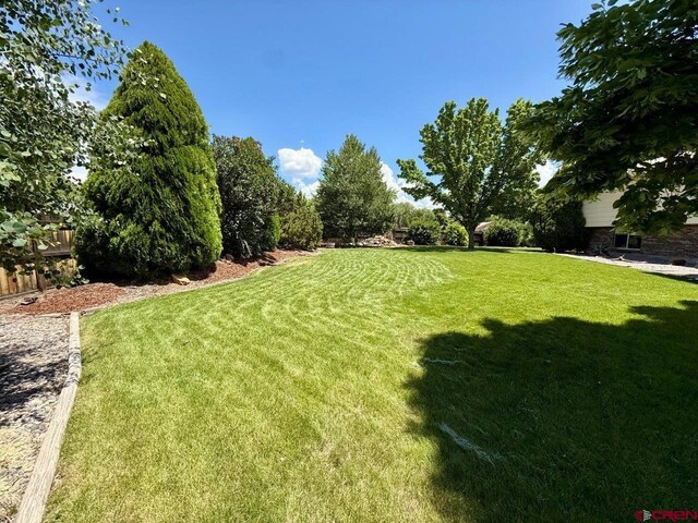 2343 Oldham Way, Montrose, CO 81401 - view of yard